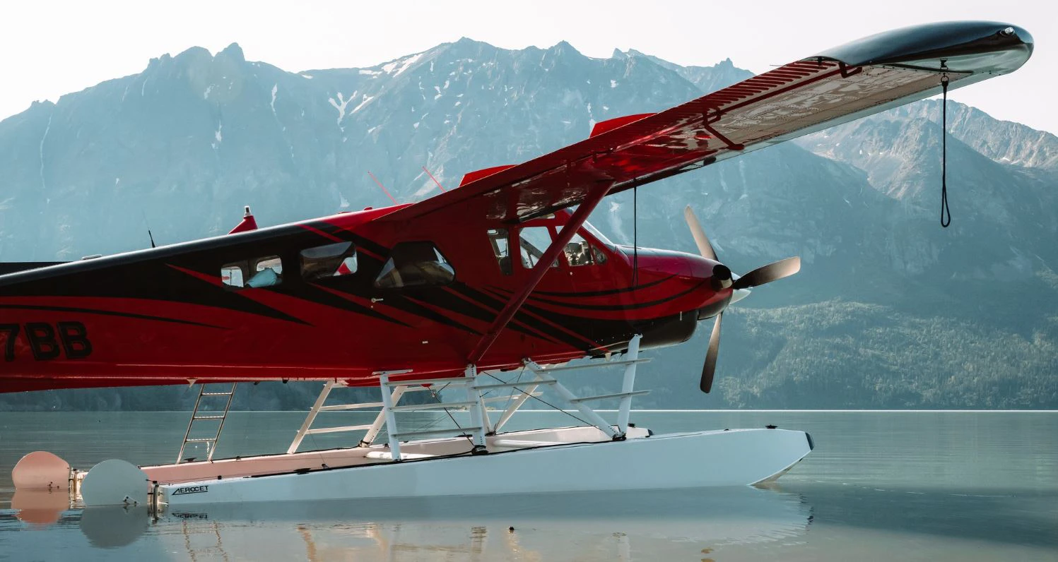 Bear Viewing from Anchorage